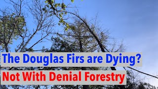 New Innovative Forestry Technique, Denial Forestry