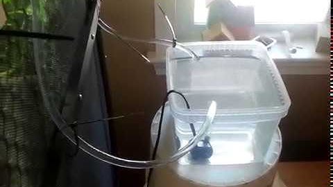 DIY Chameleon Enclosure Automated Dripper Set up