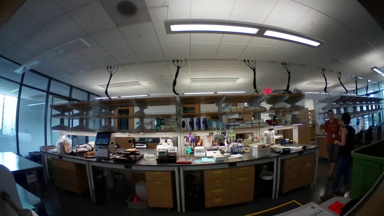 How to Move Into a Lab! YouTube