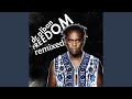 Miniature de la vidéo de la chanson Freedom (Andalo Remix Radio Edit)