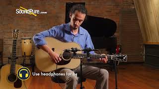 Goodall Traditional Sprucemahogany Dreadnought Quick N Dirty