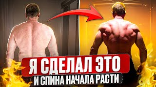 картинка: Я Потерял 23 Года и Понял Простую Вещь. (Глубина и Объем Спины)