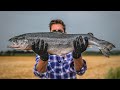 Cooking a GIANT FISH on the BARBECUE