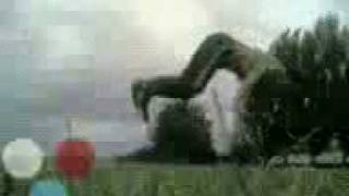 Muvee Clipsmuvee002