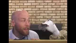 The Power of Barf The Power of Barf