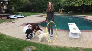 Operant Conditioning Experiment-AP Psych 9-29-16
