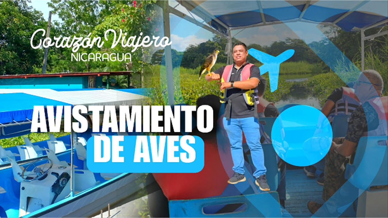 Paraíso de aves en Granada, Nicaragua: un espectáculo natural.