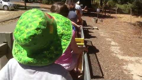 Riding the Diamond Valley Railway Through the Tunnel (January 2013)