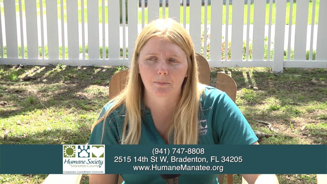 Gracie's Story YouTube