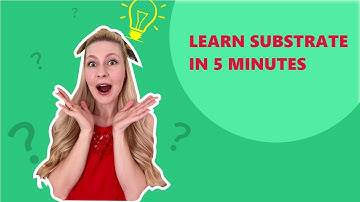 Polkadot & Kusama ecosystems terminology for beginners