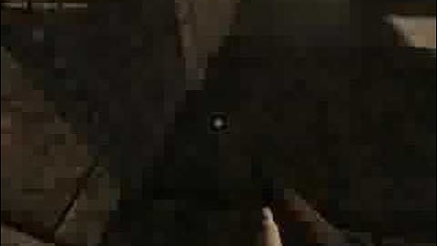 Sauerbraten (FPS game