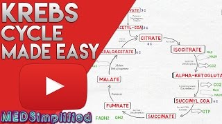 KREBS CYCLE MADE SIMPLE - TCA Cycle Carbohydrate Metabolism Made Easy