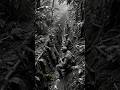 Indian Troops Survived The Harsh Burma Campaign With Bare Minimum #worldwar2 #ww2 #ww2history