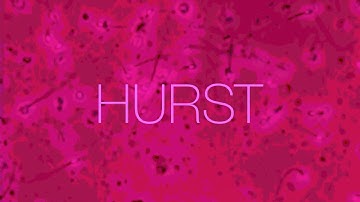 HURST // Tides // Eurorack Modular