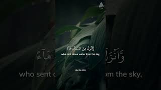 Who Is #Allah? The one who made the earth as our resting place and the sky our canopy. #Quran #Dua