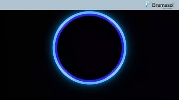 Overview of SAP Billing and Revenue Innovation Management (BRIM)