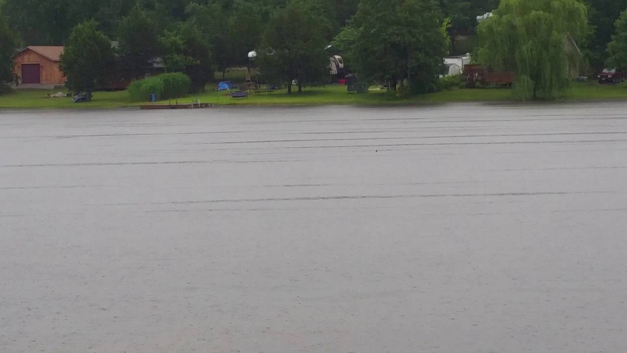 Woodland Lakes - Carp Sighting