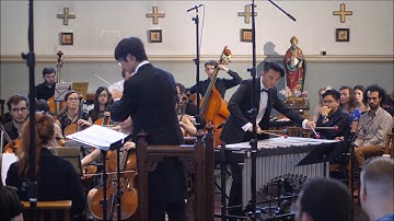 Sejourne | Concerto for Vibraphone and String Orchestra Movement 2 | Yu Xiu Tsai, Jack Wong