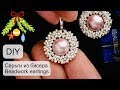 #Серьги из бисера / #Beadwork earrings / #DIY / (2019)