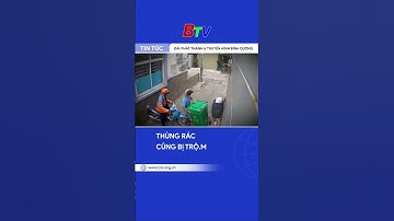 Thùng rác cũng bị trộ.m  | BTV - TRUYỀN HÌNH BÌNH DƯƠNG #shorts