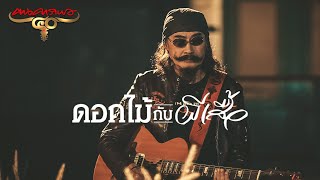 คาราบาว - ดอกไม้กับผีเสื้อ (อัลบั้ม 40 ปี ฅนคาราบาว) [Official Music Video]