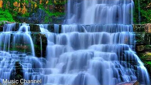 Nhạc Piano Cùng Tiếng Chim Hót Tiếng Suối Chảy Thiên Nhiên