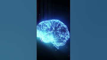 Cosmic Wi-Fi: Mind and Reality Explainer