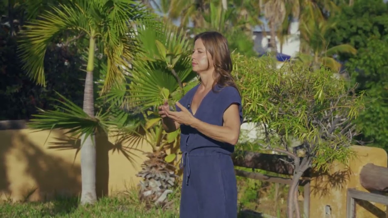 Heart–Kidney Balancing Breathwork