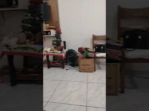 1 de janeiro de 2026