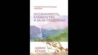 Аджан Брахм — Осознанность, блаженство и за их пределами ч.1 Аудиокнига Буддизм