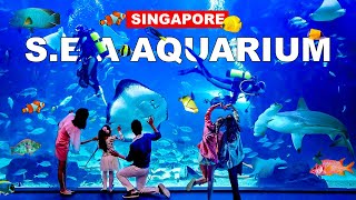 SEA Aquarium Singapore | Largest and Best Aquarium in S.E.A Tour | Resort World Sentosa 🇸🇬🐬🦈🪼