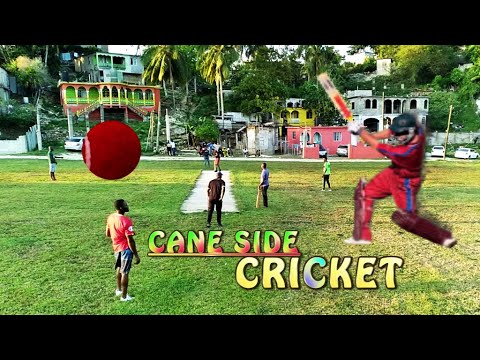 The Most INTENSE Community Cricket Match Ever! |caneside cricket - YouTube