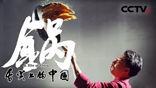 ⁣《舌尖上的中国》第三季 宣传片：第一集 器 | CCTV纪录