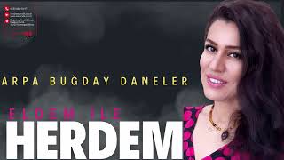 Eldem Ülgen - Arpa Buğday Daneler