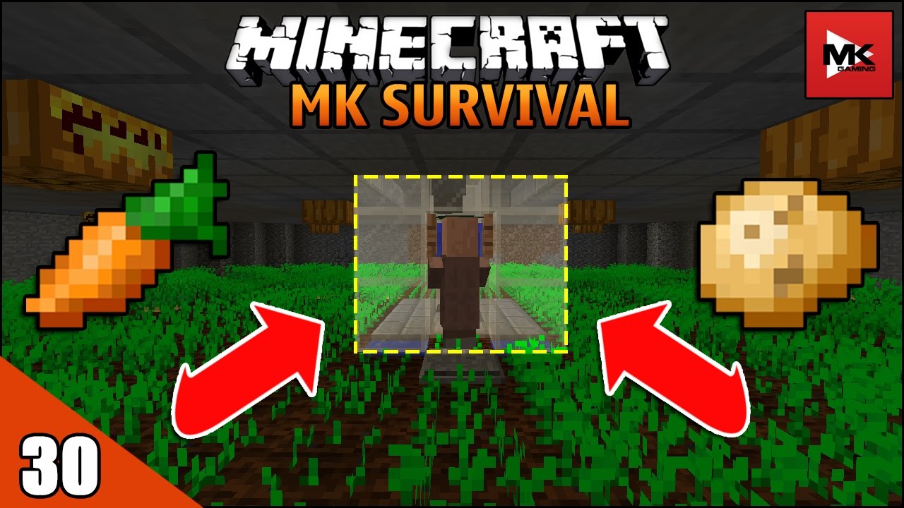 VÔ HẠN CÀ RỐT VÀ KHOAI TÂY TRONG MINECRAFT - MK SURVIVAL #30 | MK ...
