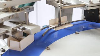 rotary cartoner machine bottles feeding cartoning equipment automatic | encartonneuse de bouteilles