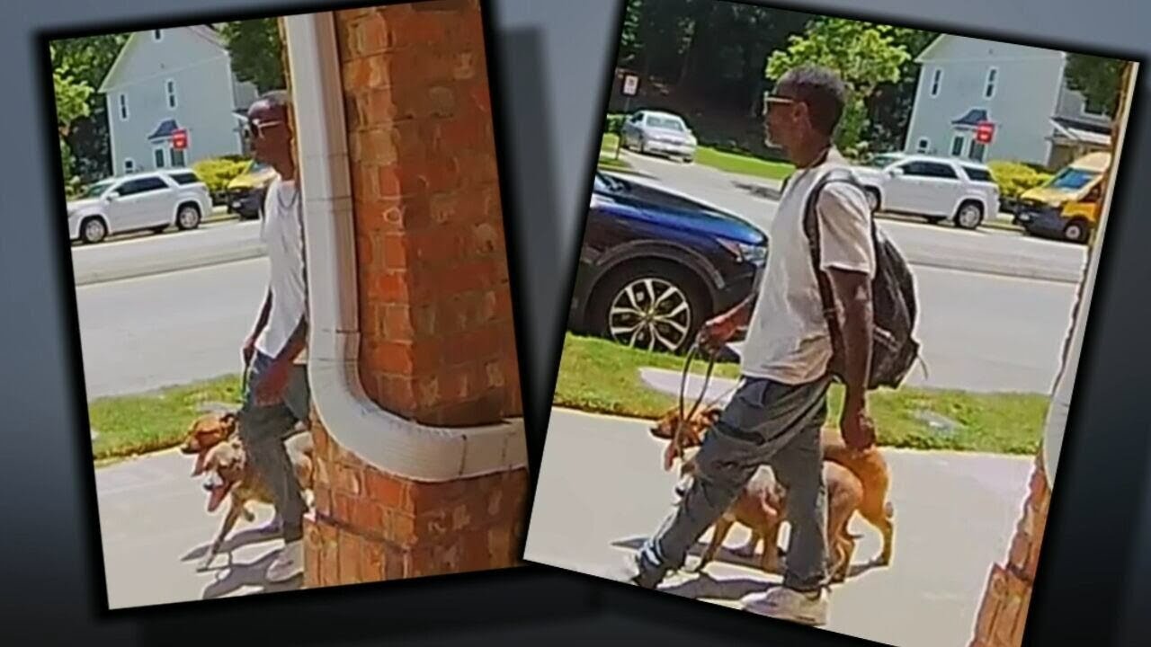 Police searching for man who killed, left 2 dogs inside Atlantic ...