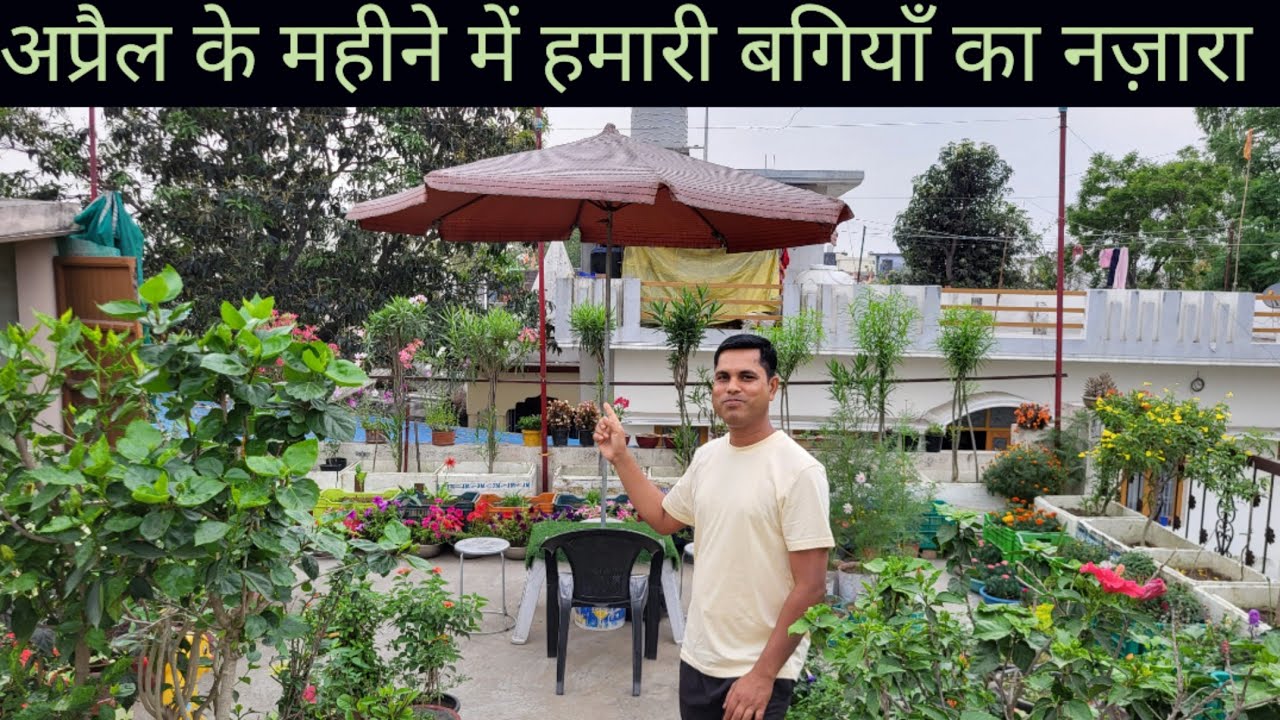 April Flowers Bloomings in Hamari Bagiya || Summer Garden Overview