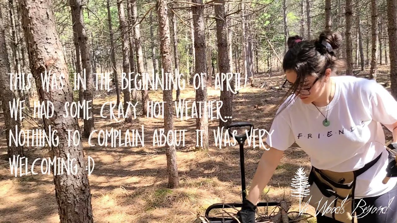 EPS 5 CLEARING A SPOT FOR THE JEEP | THE WOODS BEYOND SPRING APRIL. 2021 VLOG