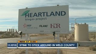 Stink to stick around in Weld County