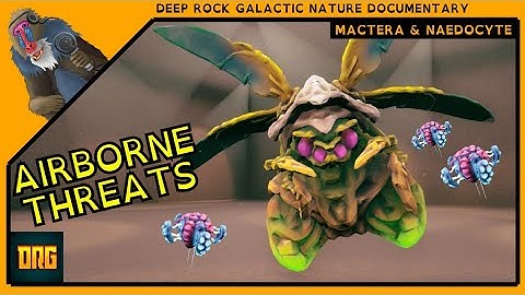 Deep Rock Galactic | MACTERA & NAEDOCYTE | A Dwarves Guide Documentary