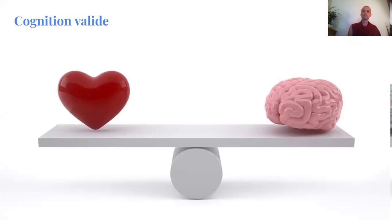 Psycho 2 – de l'ignorance à la connaissance