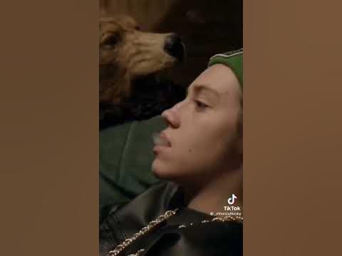 бесстыжие - Карл Галлагер - YouTube