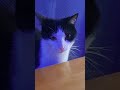 good edit #cool # funny #meme #edit