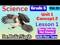 ساينس خامسة ابتدائى ترم اول 2025 Science Grade 5 Concept 2 Lesson 1 How Hawks Get Energy 