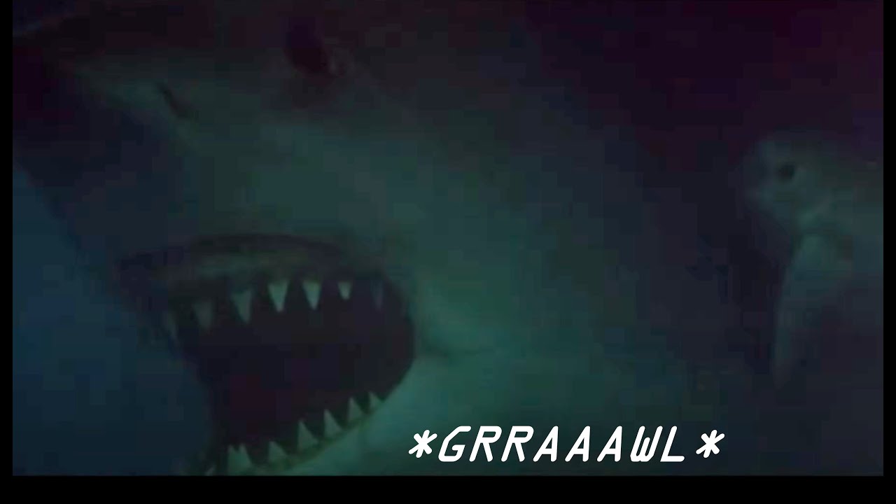 Jaws 3 but only when Brucetta growls