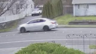 Man in his 60s dies after being stabbed outside Lynnwood Fred Meyer, police search for suspects