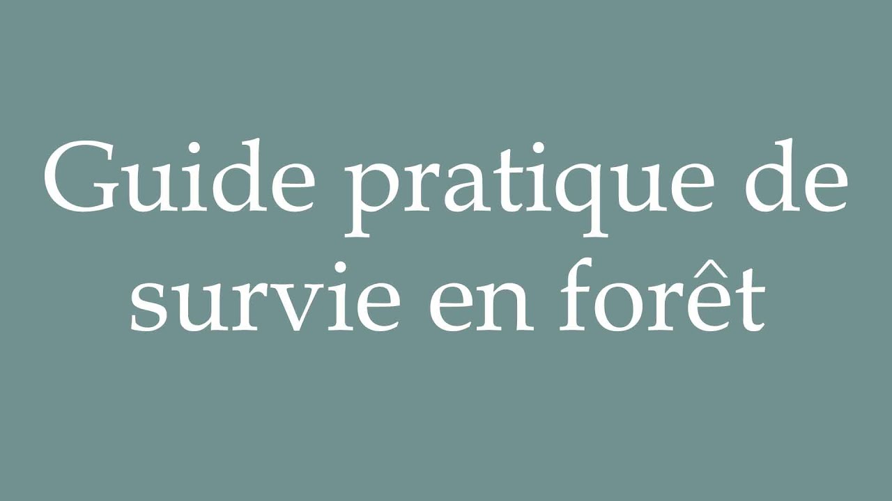 how-to-pronounce-guide-pratique-de-survie-en-for-t-correctly-in