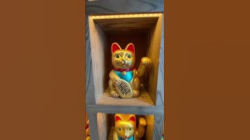 Thumbnail of #manekineko #manekin #maneki #manekinmurah #manekinanak #manekinkepala #manekinbaju