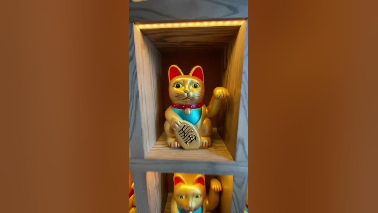 #manekineko #manekin #maneki #manekinmurah #manekinanak #manekinkepala #manekinbaju